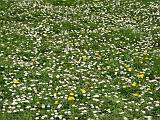 2005-04-15 12-56-32 Avril (x1024)